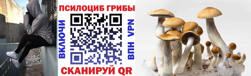 Галлюциногенные грибы ЛСД Черепаново